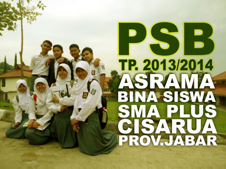 COVER-PSB-2013